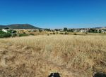 Photo 361054139