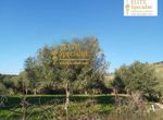 Photo 361248158