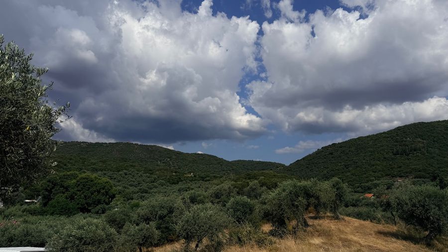 Photo 361491359