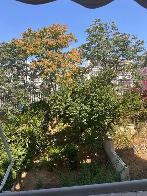 Photo 361726271