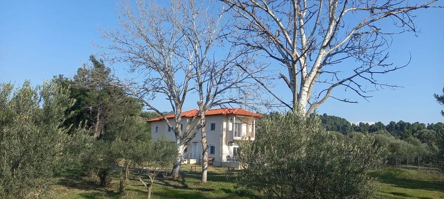Photo 361984538