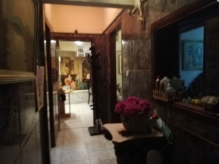 Photo 362290061