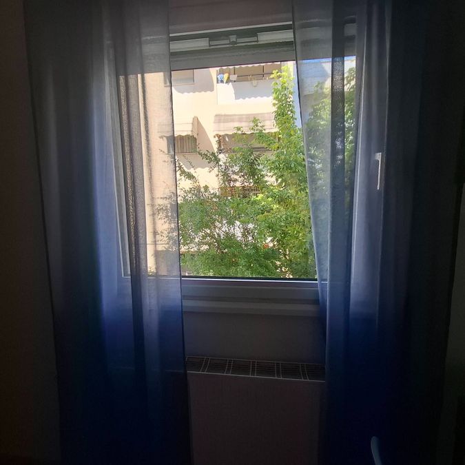 Photo 362562335