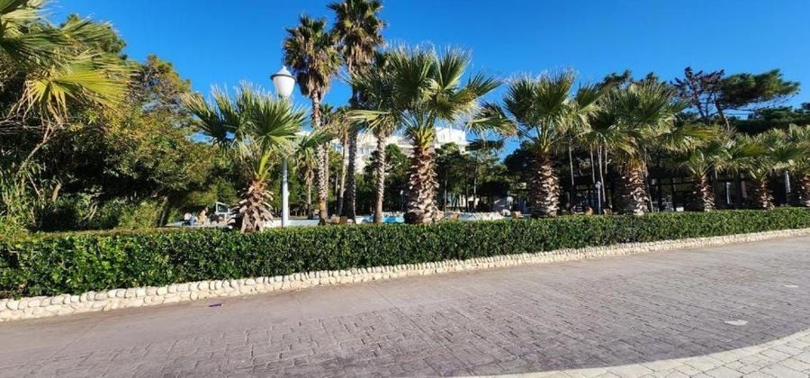Foto 362900897