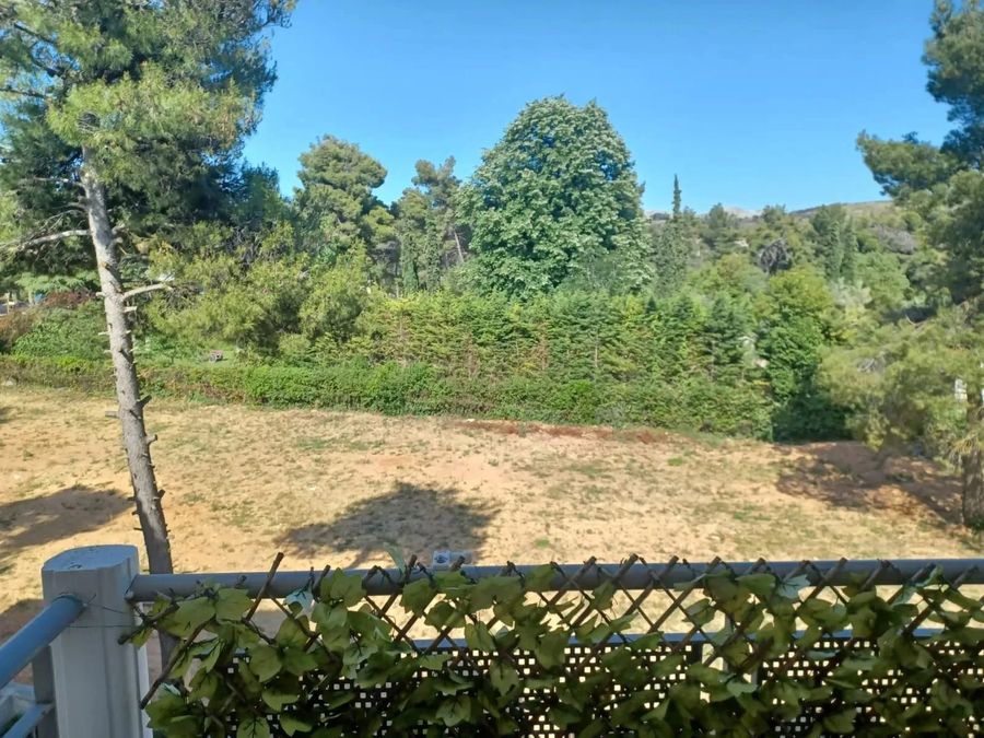 Photo 362915075
