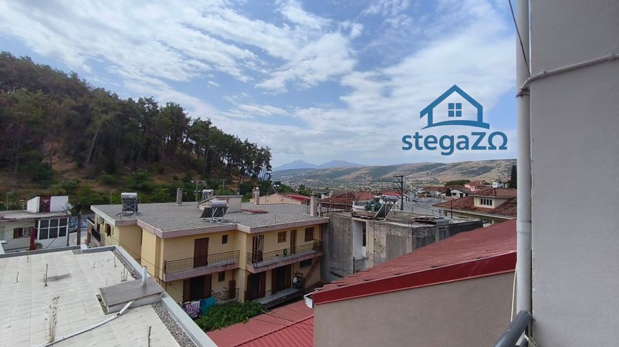 Photo 363163484