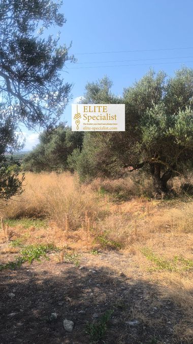 Photo 363242219