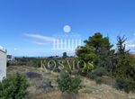 Photo 363397217