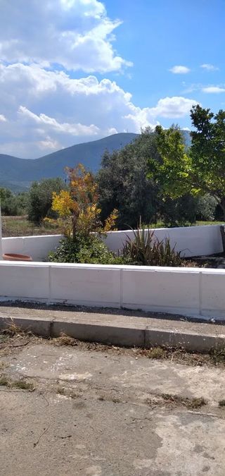 Photo 363684386
