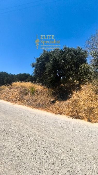Photo 364696757