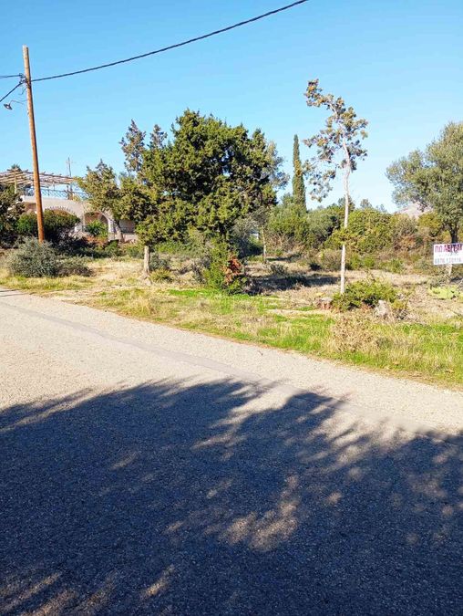 Photo 366394778