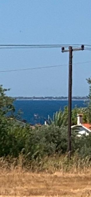 Photo 366713306