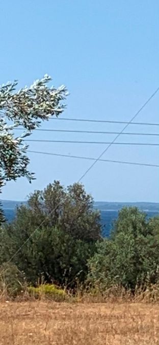 Photo 366713309