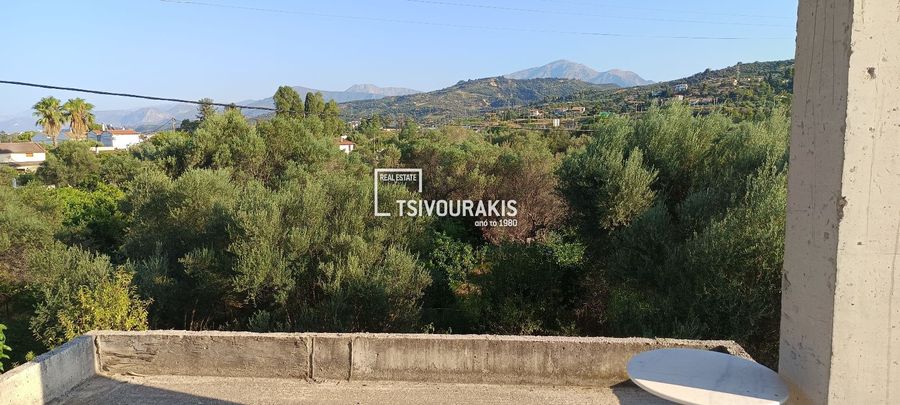 Photo 366959609