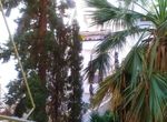 Photo 366981356