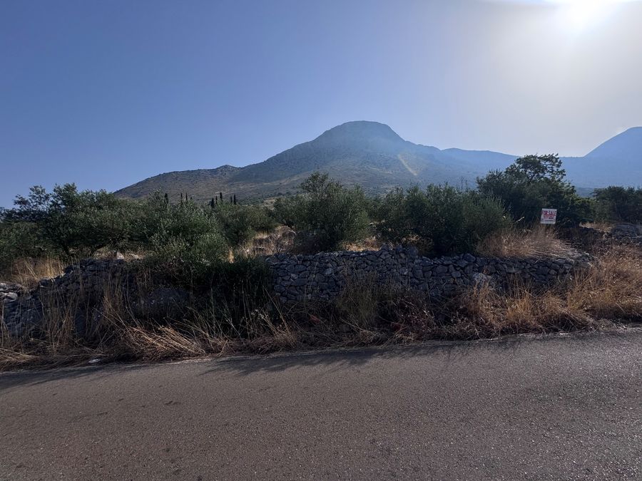 Photo 367016162