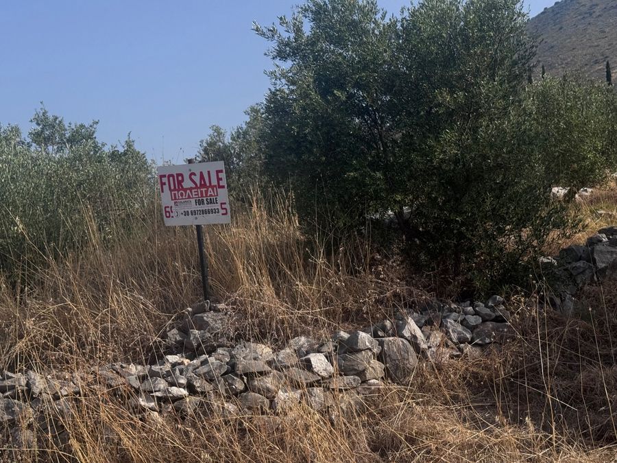 Photo 367016165