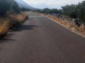Photo 367016174