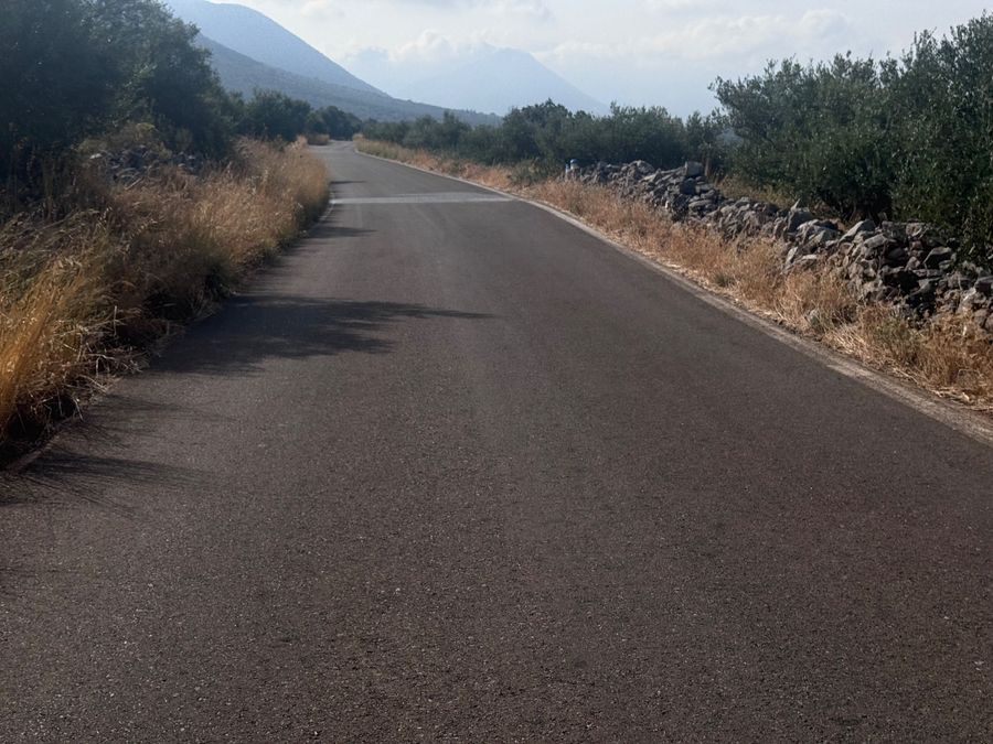 Photo 367016174