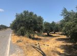 Photo 367026398