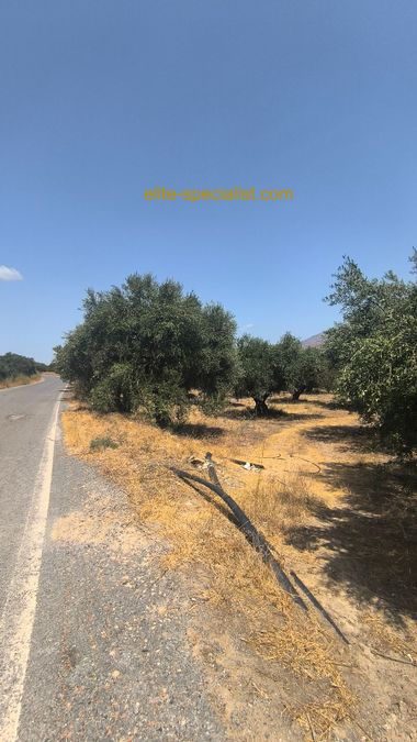 Photo 367026398