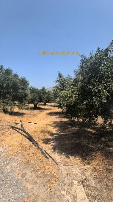 Photo 367026476