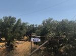 Photo 367026494