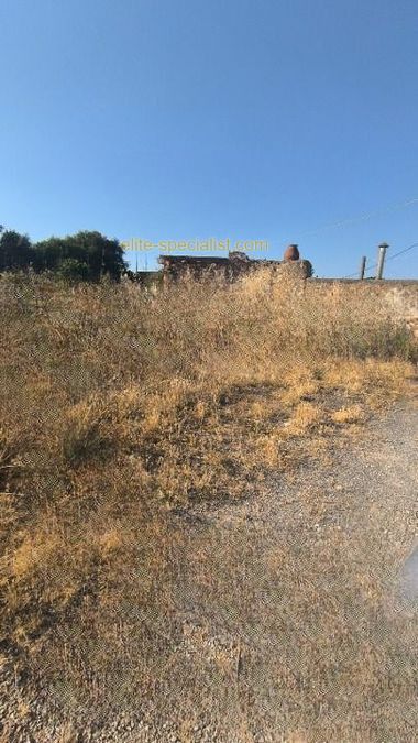 Photo 367146155