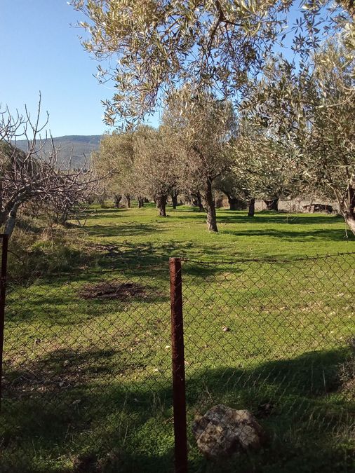 Photo 367214210