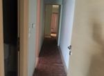 Photo 367411187