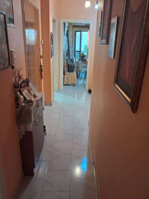 Photo 368688575