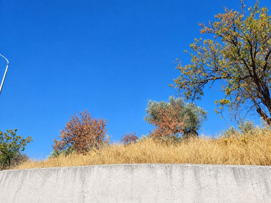 Photo 368700971