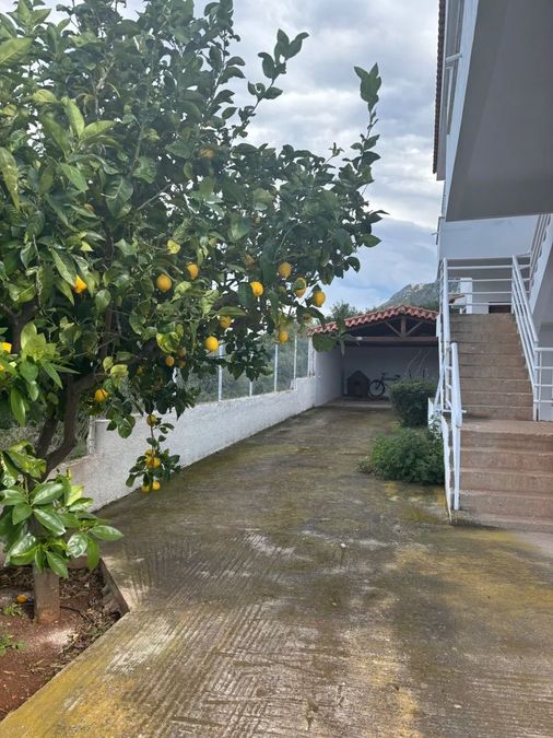 Photo 368903963