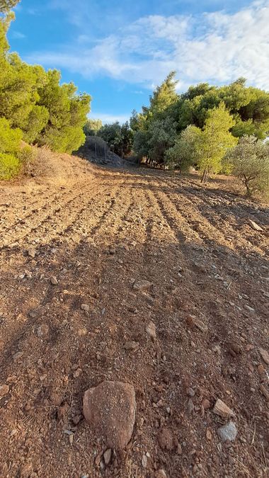 Photo 369199880