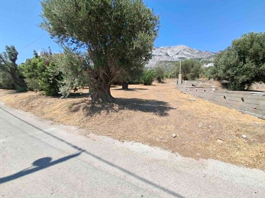 Photo 369268820