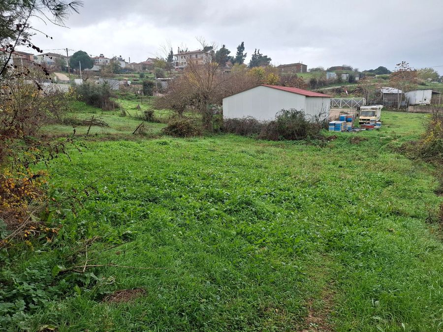 Photo 369357239