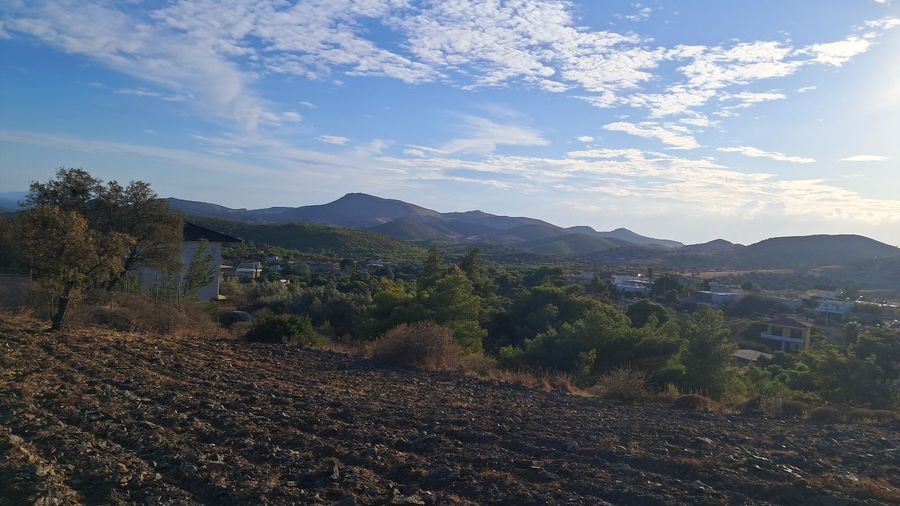 Photo 369437663