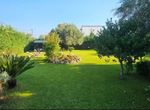 Photo 369547310