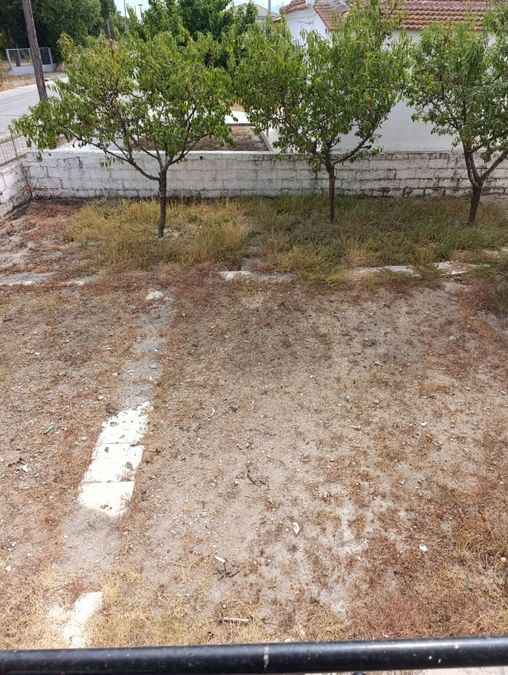 Photo 369550310