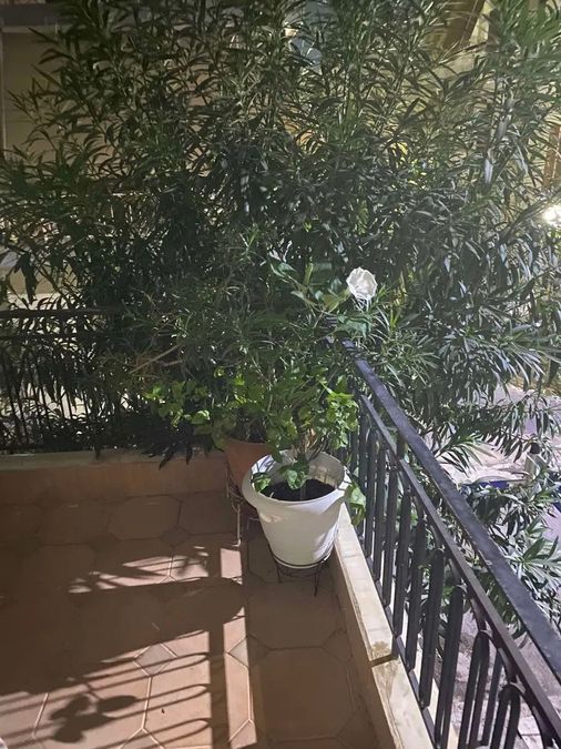Photo 369578129