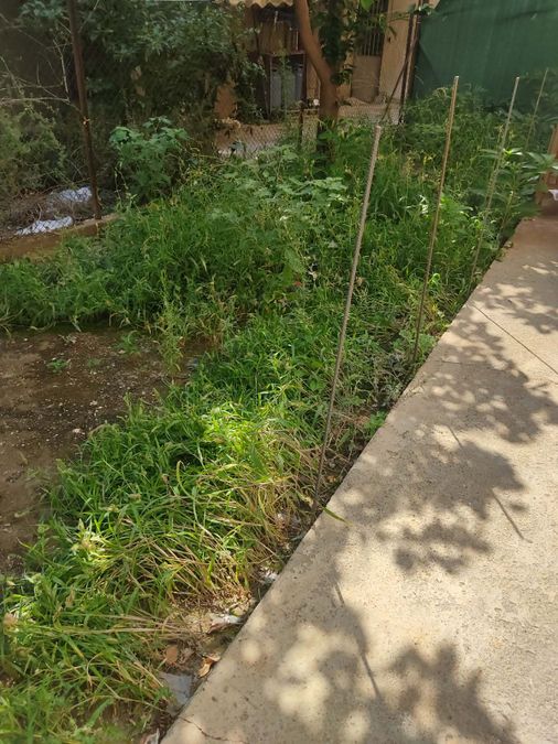 Photo 369891938