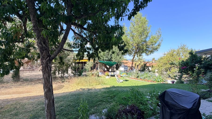 Photo 370016705