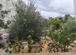 Photo 370239455