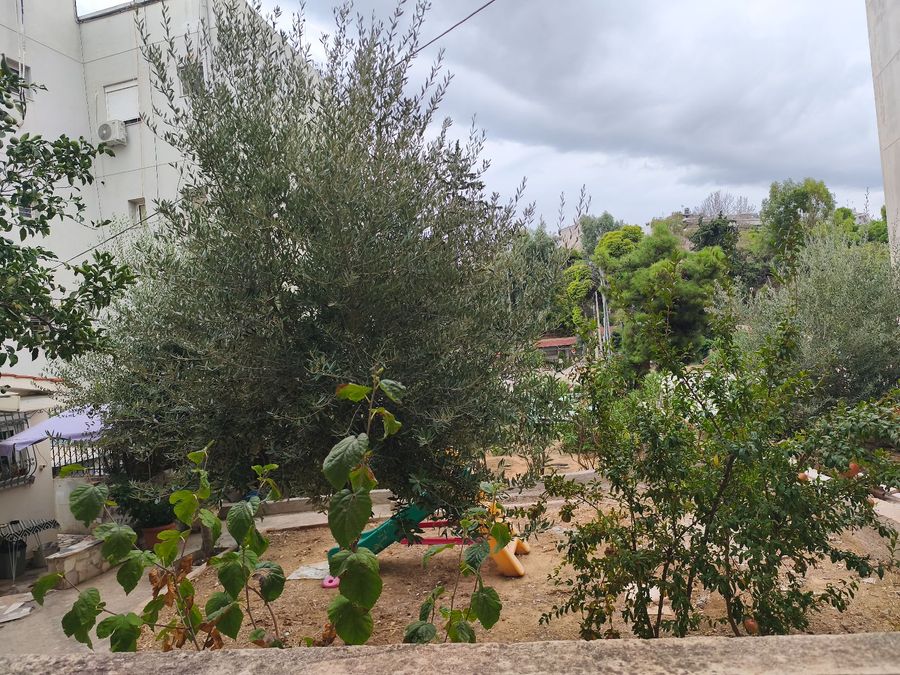 Photo 370239455