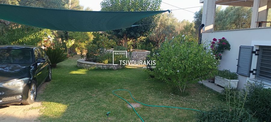 Photo 370315334