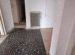 Photo 370519985