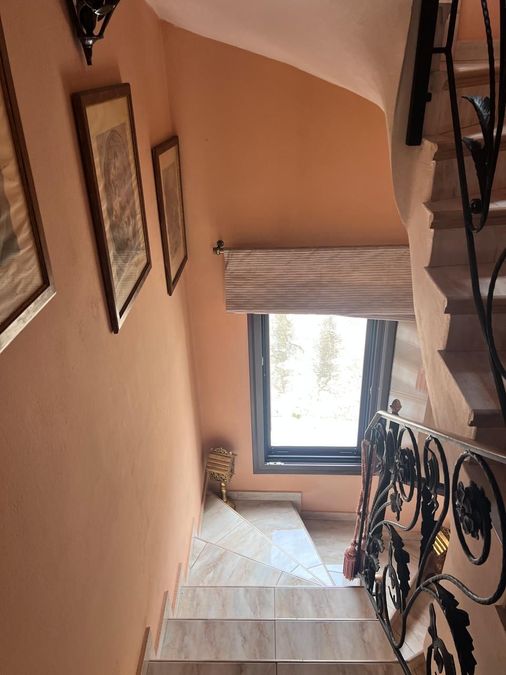 Photo 370534148