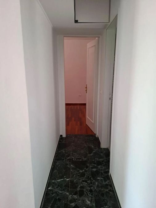 Photo 370535426