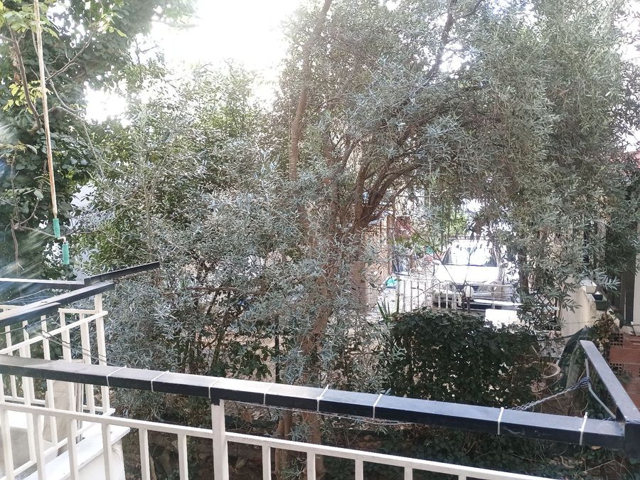 Photo 370783649