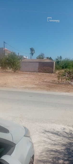 Photo 370867001